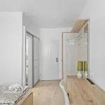 Cityapt Wolfik *