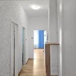 Cityapt Wolfik *