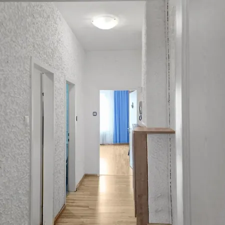 Cityapt Wolfik *